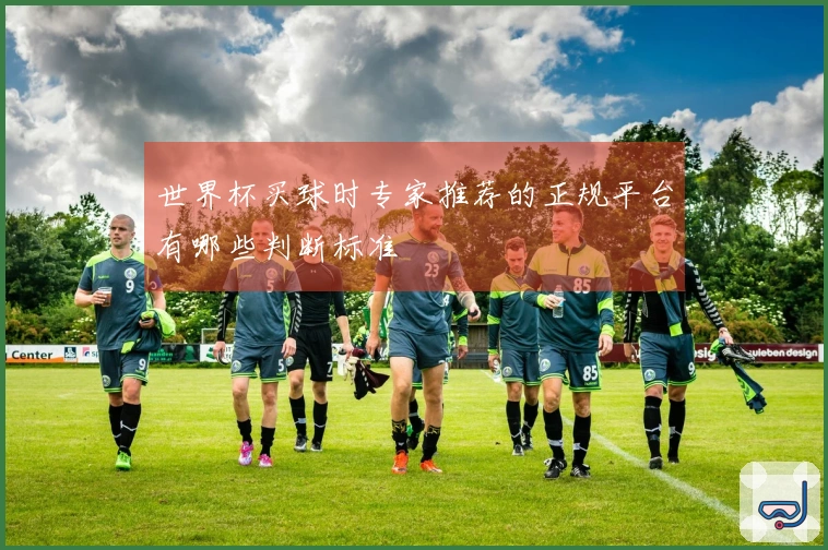 世界杯买球时专家推荐的正规平台有哪些判断标准