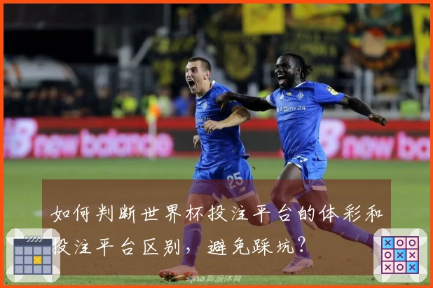 如何判断世界杯投注平台的体彩和投注平台区别，避免踩坑？