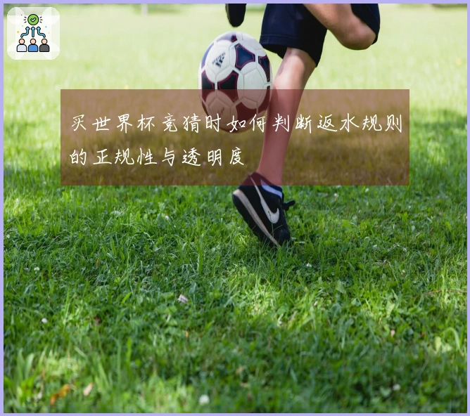 买世界杯竞猜时如何判断返水规则的正规性与透明度