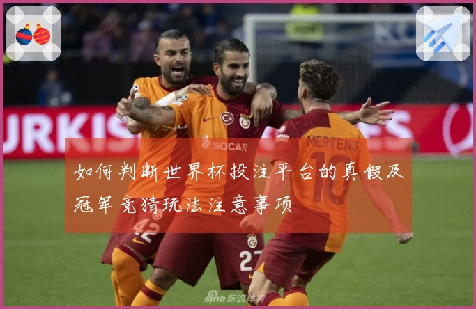 如何判断世界杯投注平台的真假及冠军竞猜玩法注意事项