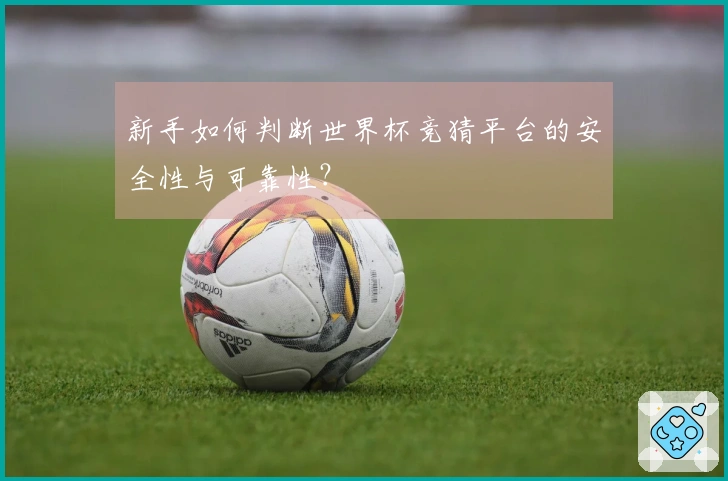 新手如何判断世界杯竞猜平台的安全性与可靠性？