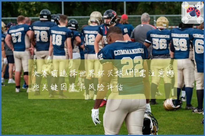 决赛前选择世界杯买球APP需注意哪些关键因素和风险评估