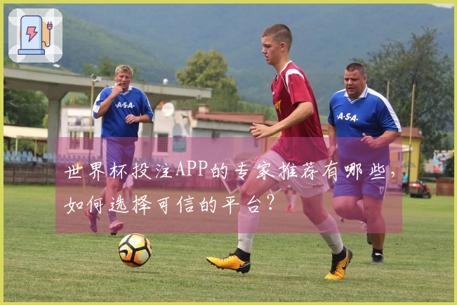 世界杯投注APP的专家推荐有哪些，如何选择可信的平台？