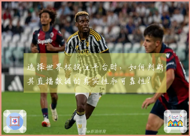 选择世界杯投注平台时，如何判断其直播数据的真实性和可靠性？