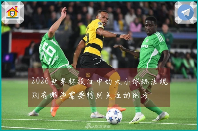 2026世界杯投注中的大小球玩法规则有哪些需要特别关注的地方