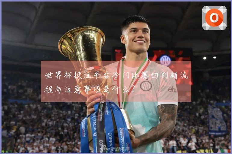 世界杯投注平台冷门比赛的判断流程与注意事项是什么？