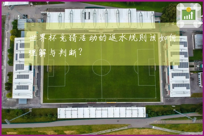 世界杯竞猜活动的返水规则该如何理解与判断？