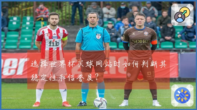 选择世界杯买球网站时如何判断其稳定性和信誉度？