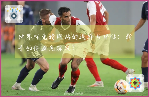 世界杯竞猜网站的选择与评估：新手如何避免踩坑？