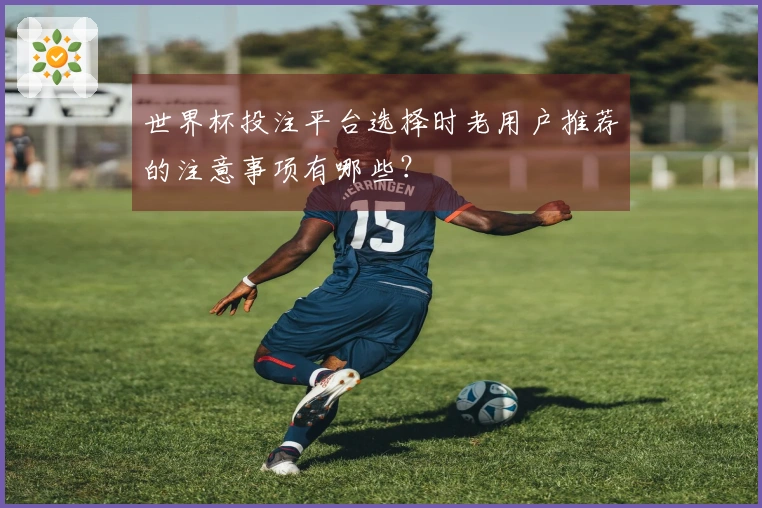 世界杯投注平台选择时老用户推荐的注意事项有哪些？