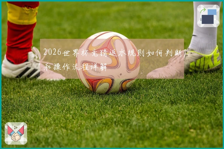2026世界杯竞猜返水规则如何判断和操作流程详解