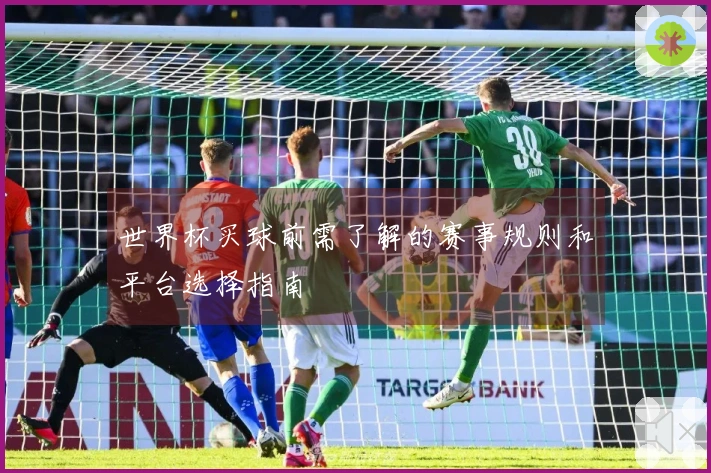 世界杯买球前需了解的赛事规则和平台选择指南