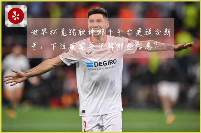 世界杯竞猜软件哪个平台更适合新手，下注前需要了解哪些信息？