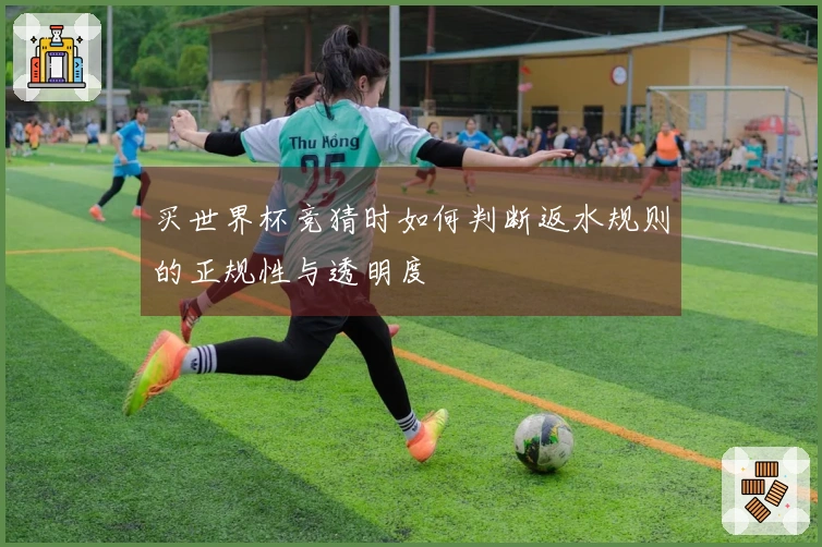 买世界杯竞猜时如何判断返水规则的正规性与透明度