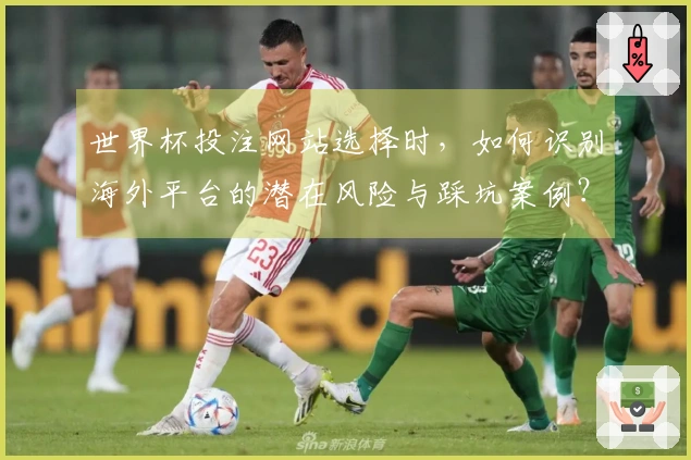 世界杯投注网站选择时，如何识别海外平台的潜在风险与踩坑案例？