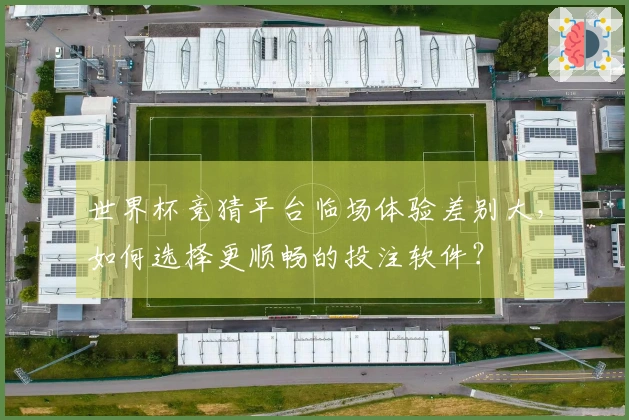 世界杯竞猜平台临场体验差别大，如何选择更顺畅的投注软件？