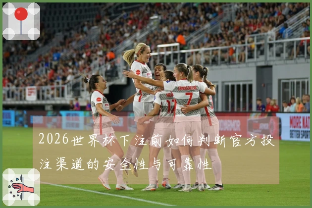 2026世界杯下注前如何判断官方投注渠道的安全性与可靠性