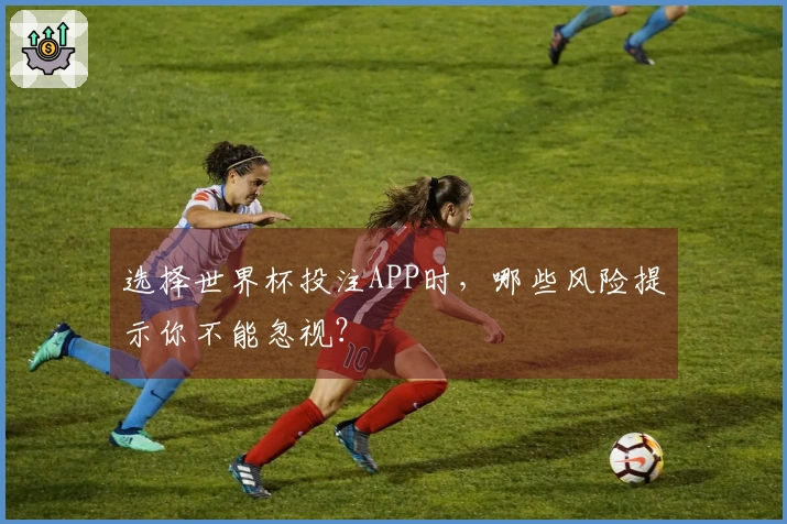 选择世界杯投注APP时，哪些风险提示你不能忽视？