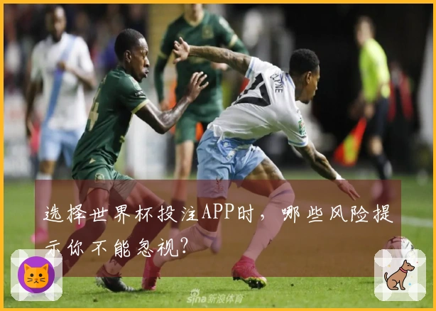 选择世界杯投注APP时，哪些风险提示你不能忽视？