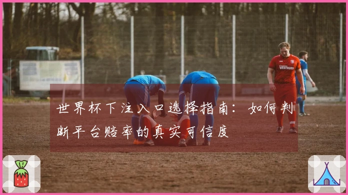 世界杯下注入口选择指南：如何判断平台赔率的真实可信度