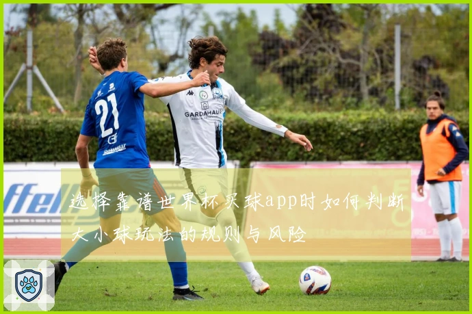 选择靠谱世界杯买球app时如何判断大小球玩法的规则与风险