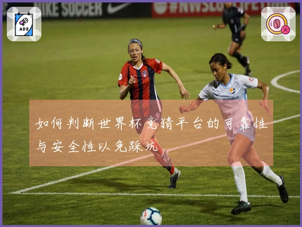 如何判断世界杯竞猜平台的可靠性与安全性以免踩坑