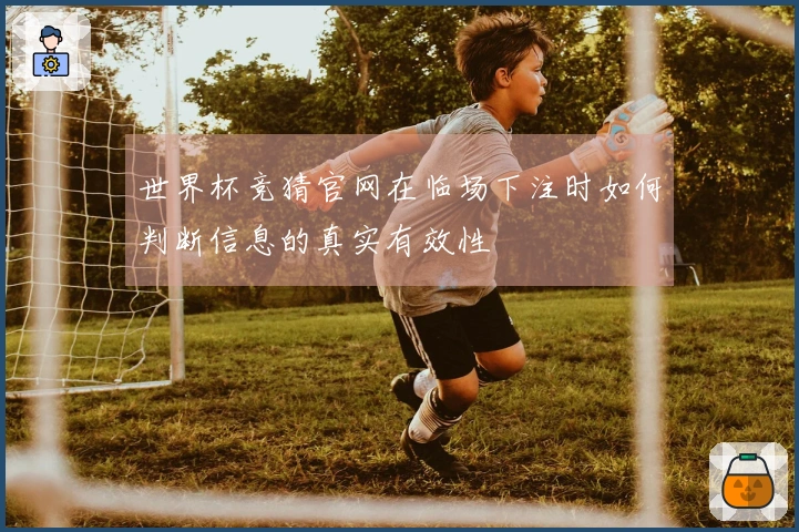 世界杯竞猜官网在临场下注时如何判断信息的真实有效性