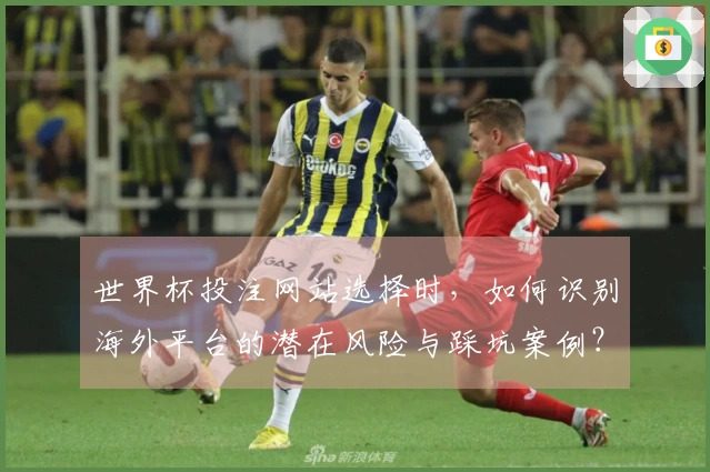 世界杯投注网站选择时，如何识别海外平台的潜在风险与踩坑案例？