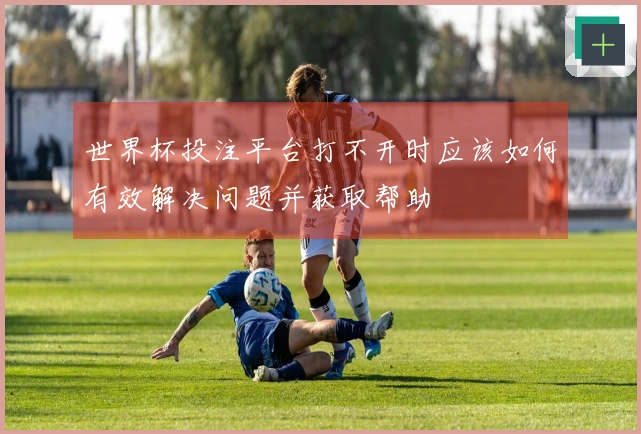 世界杯投注平台打不开时应该如何有效解决问题并获取帮助