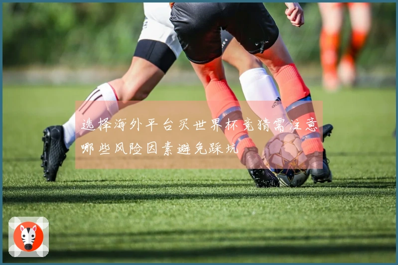 选择海外平台买世界杯竞猜需注意哪些风险因素避免踩坑